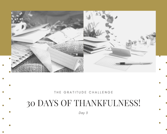 Day 3 of Gratitude Challenge